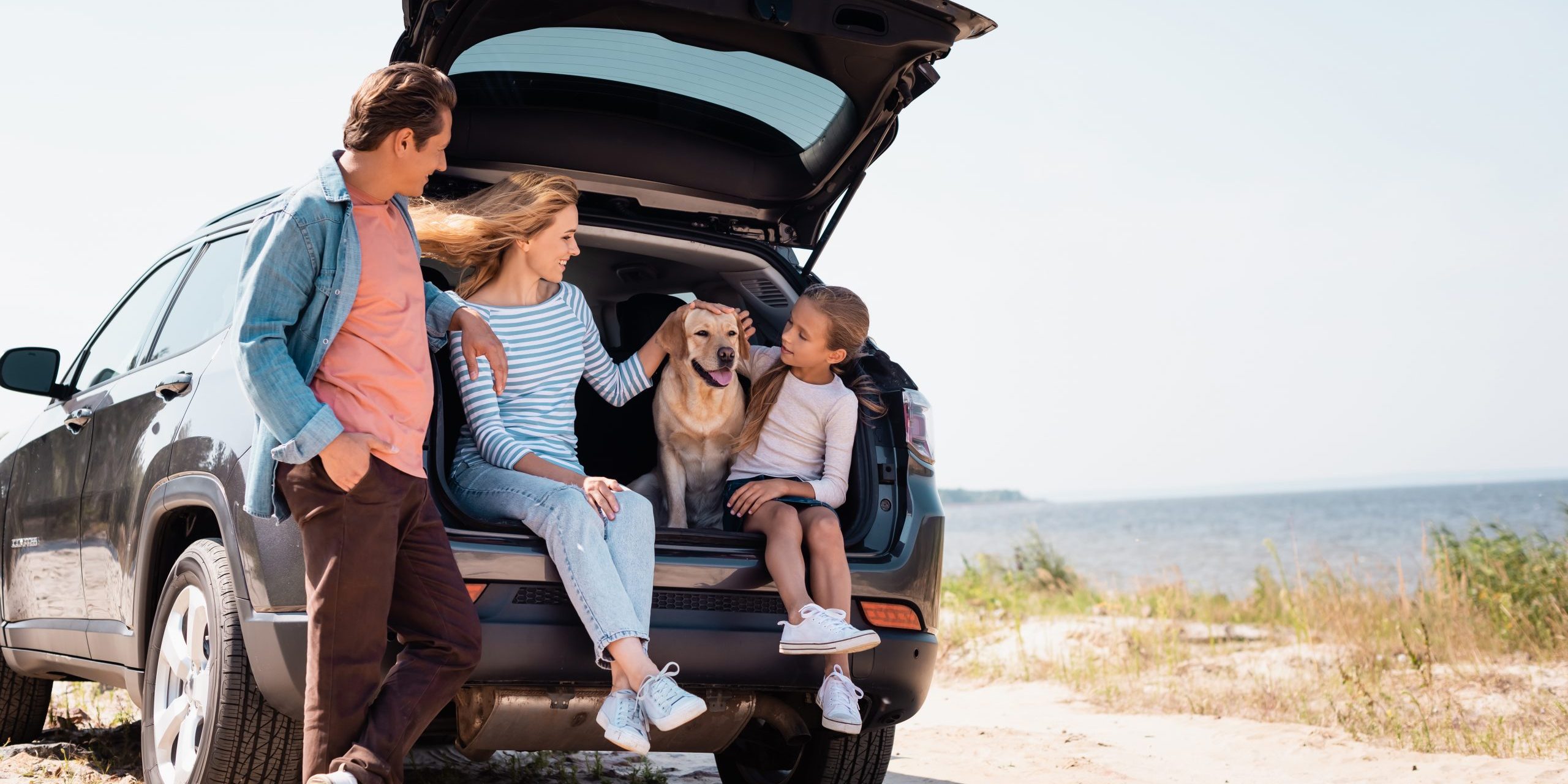 AdobeStock_376877424 AdobeStock_376877424